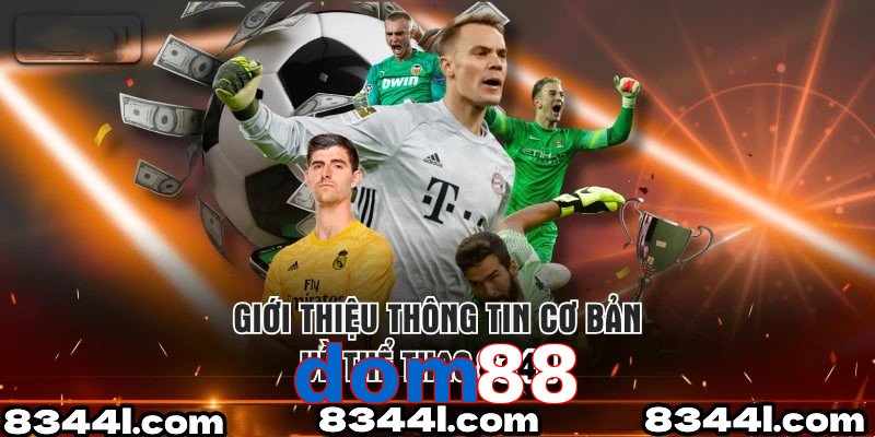 Giới Thiệu Thông Tin Cơ Bản Về Chuyên Mục Thể Thao dom88
