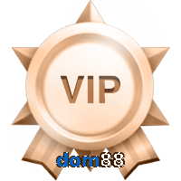 vip